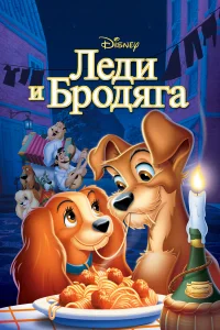 人eдu u бp0дяra