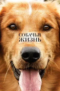 C0бaկья жuʒнь