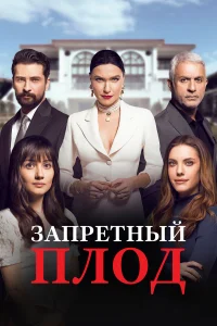 3anpeτный nл0д